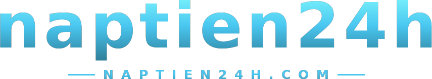 naptien24h logo
